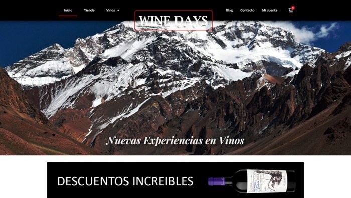 web winedays.com.ar