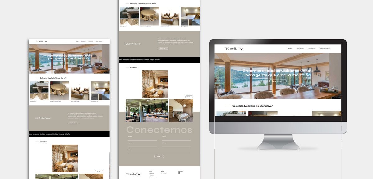 porfolio juan iturbe web - tc studio